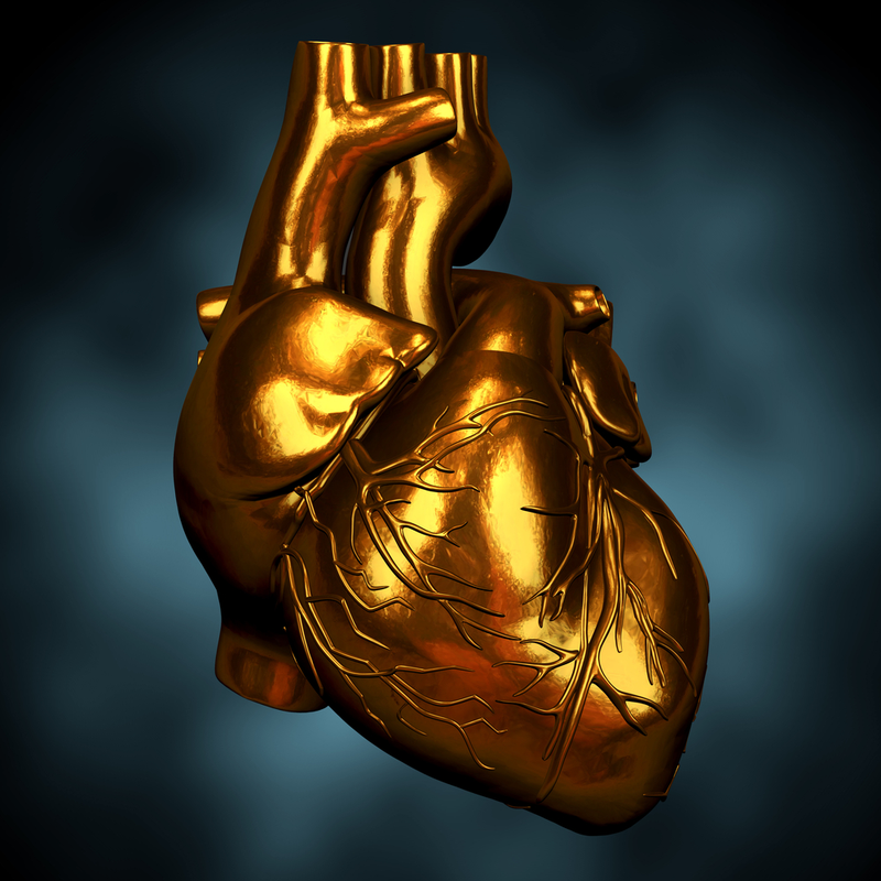 Illustration for article titled The Meaning of Death: How do we know someone is no longer alive?